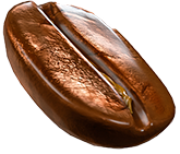 bean